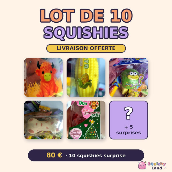 Lot de 10 Squishies Surprise – Livraison offerte